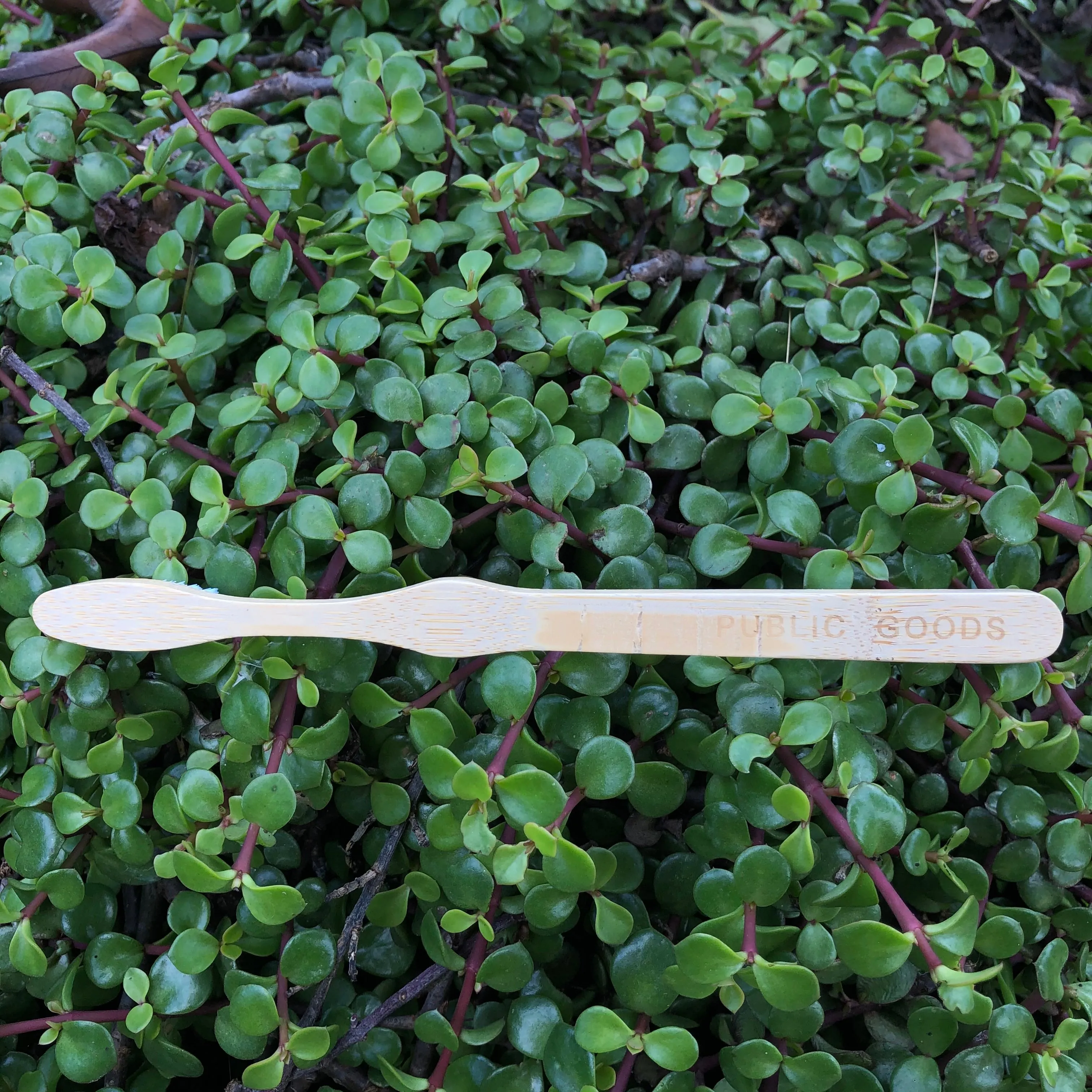 Bamboo Toothbrush (2-pack)