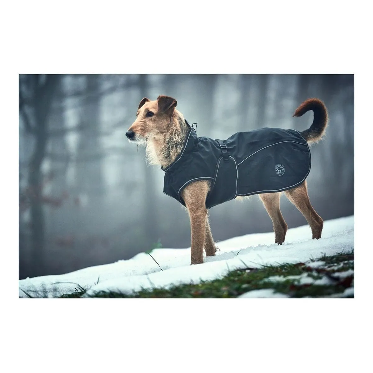 Dog Coat by Norton 360 Uppsala Black 60 Cm
