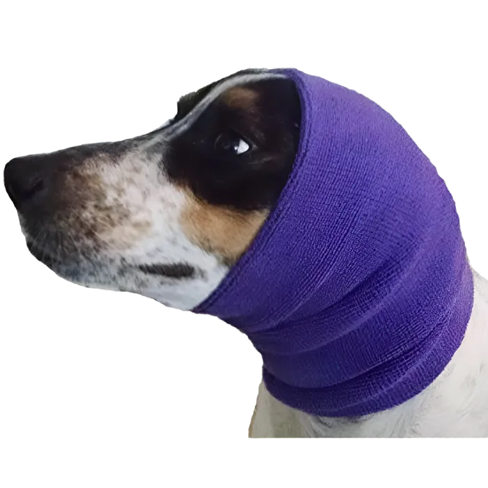Happy Hoodie Medium/Large Purple