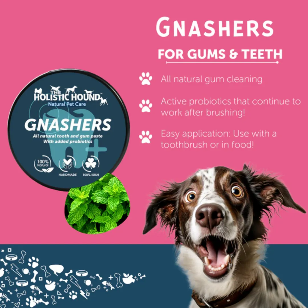 Holistic Hound Gnashers Toothpaste for Dogs