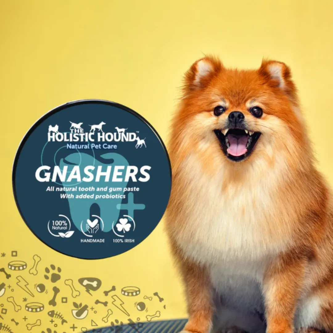 Holistic Hound Gnashers Toothpaste for Dogs