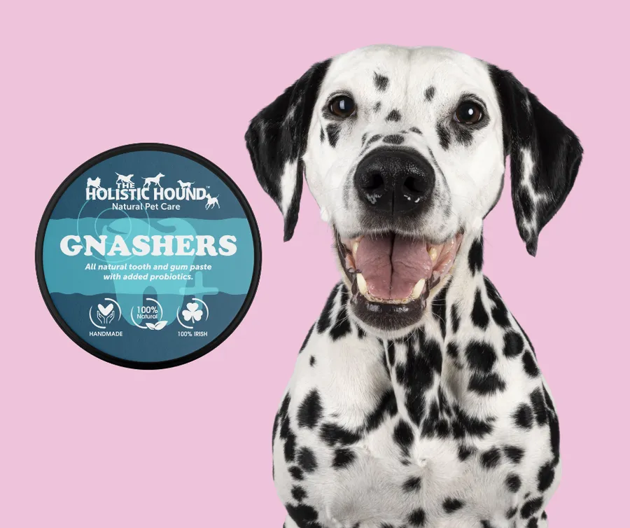 Holistic Hound Gnashers