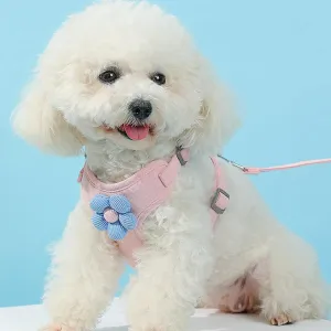 MULTI-PET Breathable Adjustable Harness & Leash Set